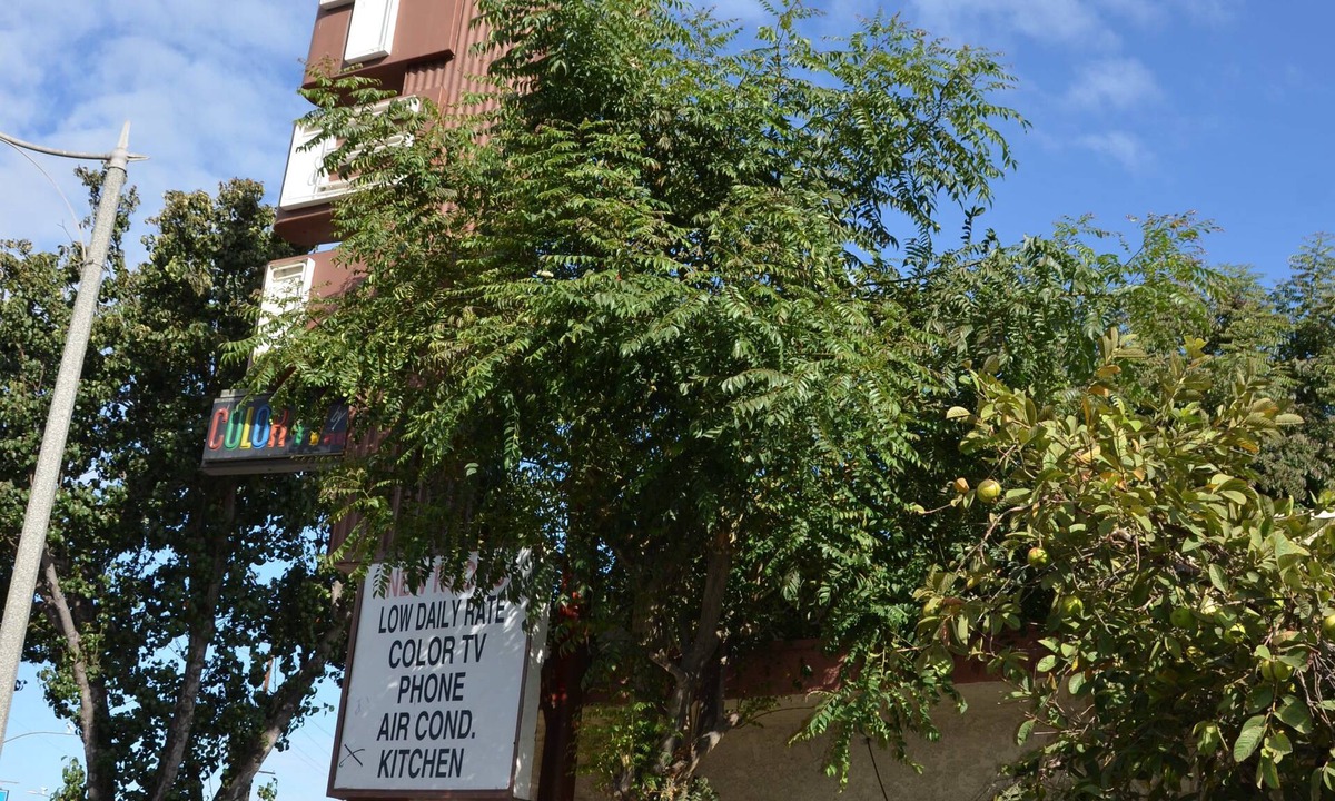 South Gate Hotel | Budget Inn