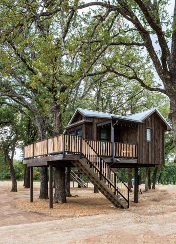 Elm Mott Other | Cedar Waxwing Treehouse15 MIN to MagnoliaBaylor