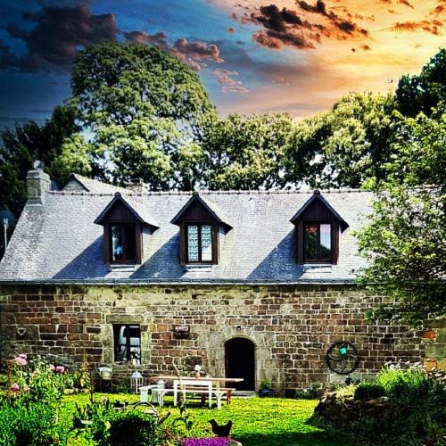 Langoelan House | Chestnut