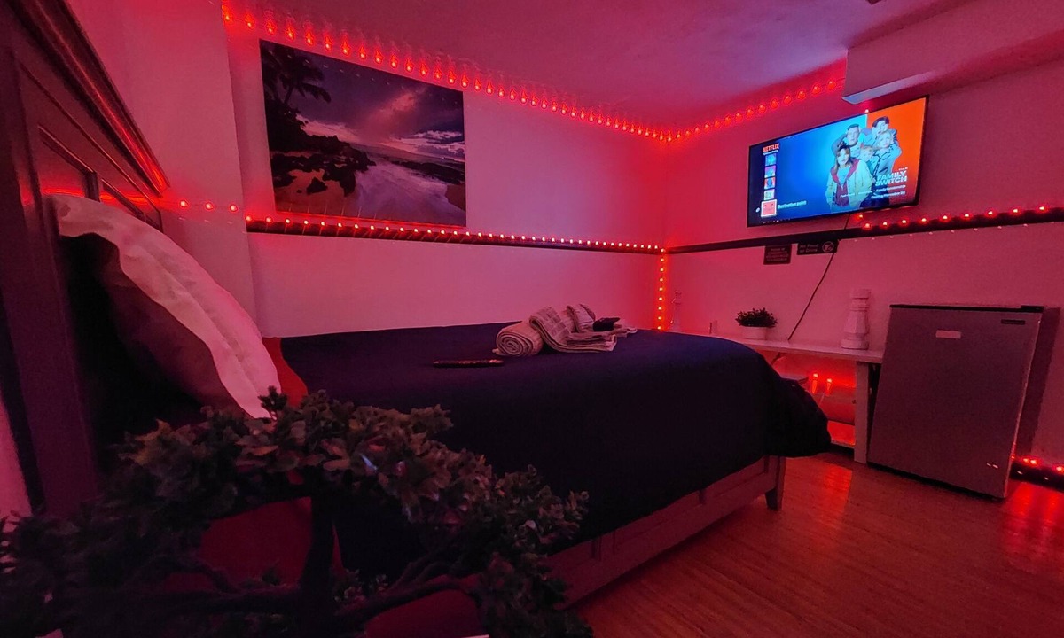 Dupont House | CONFORTABLE SUITE