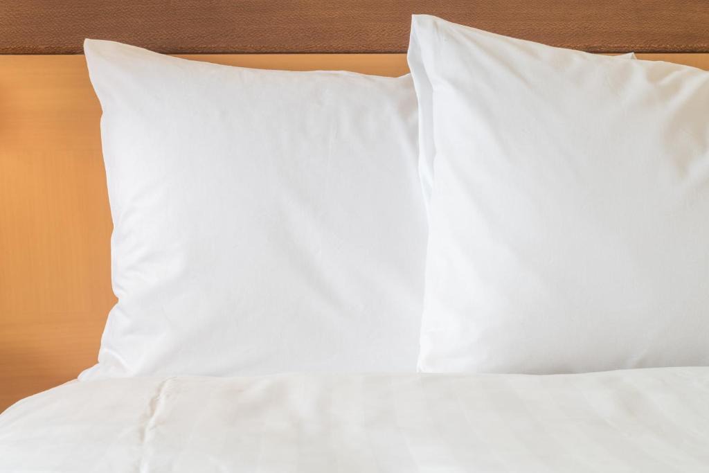 Downtown Des Moines Hotel | Holiday Inn Express and Suites Des Moines Downtown by IHG