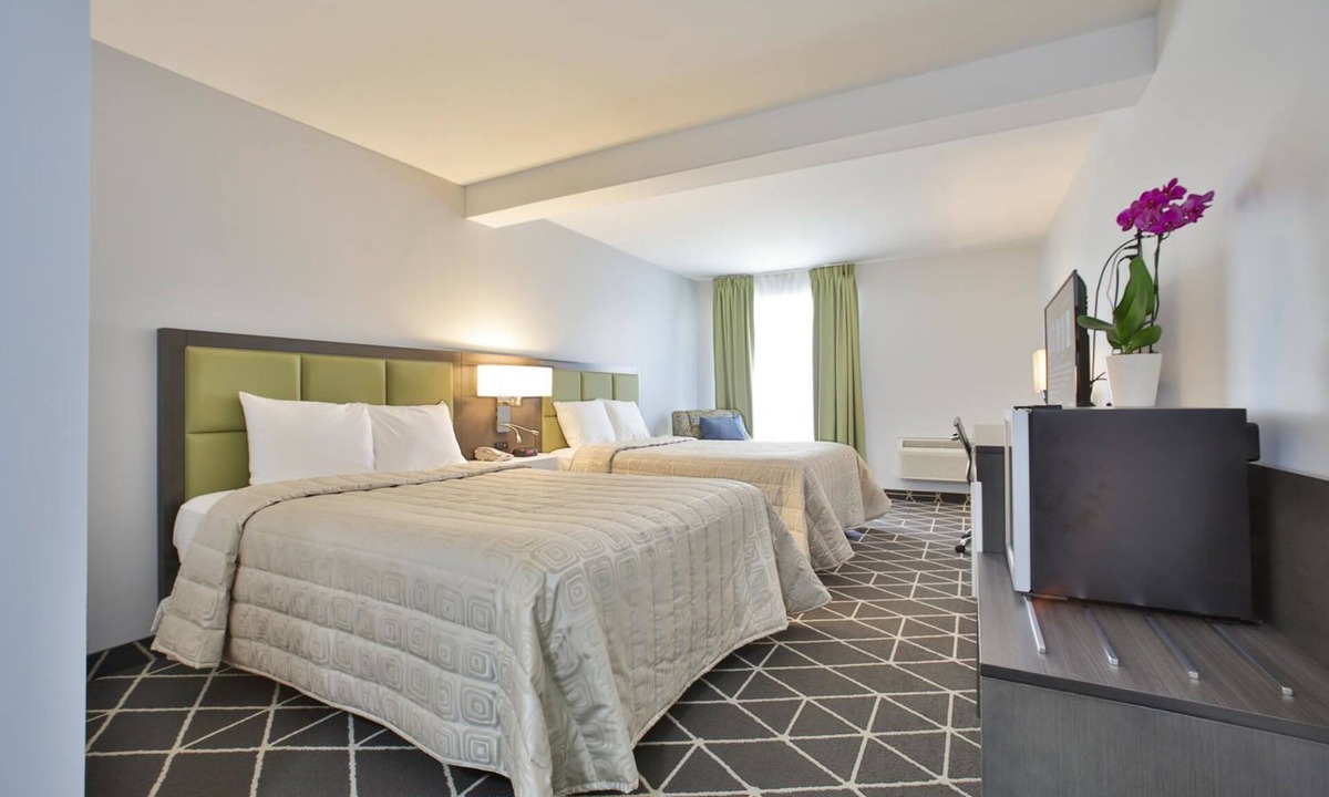 Palmerston Hotel | King Hotel
