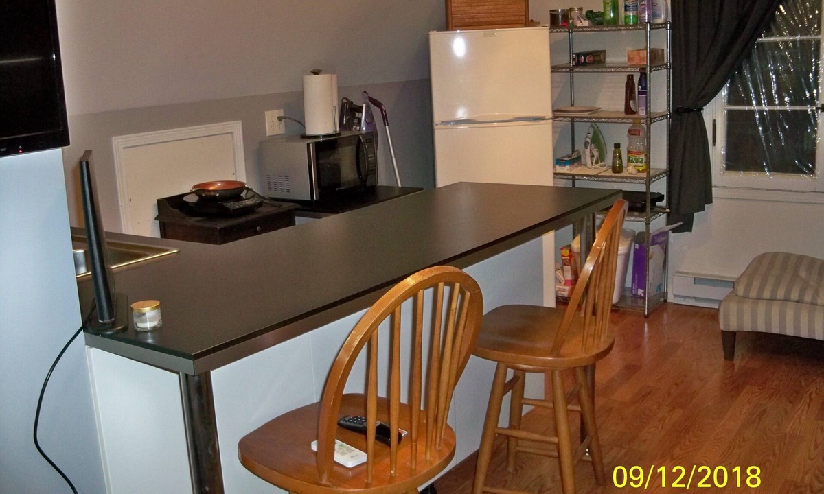 Des Plaines House | Loft Apt is above a detached Garage. Full bathroom, kitchenette, fridge, A/C