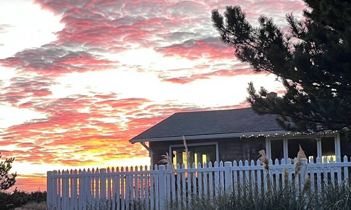 Long Beach Cabin | Ocean-front Cedar Cabin, Dog friendly, Birdwatcher's paradise!