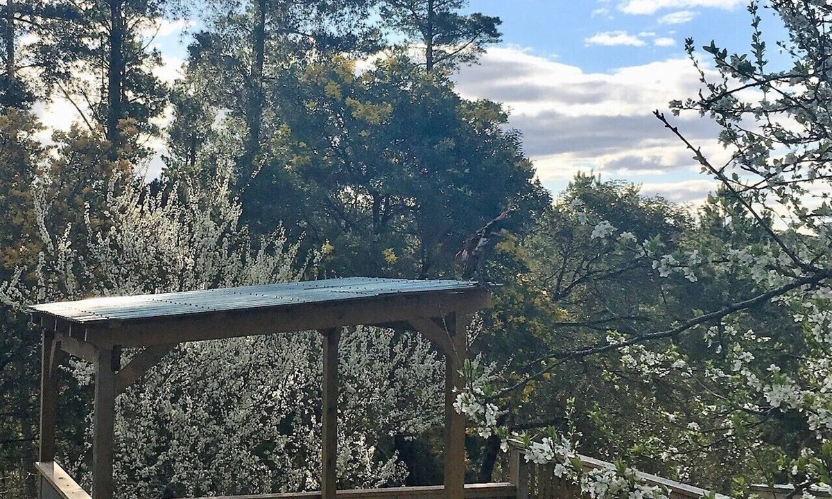 Daylesford House | Salt Spring Art Retreat;