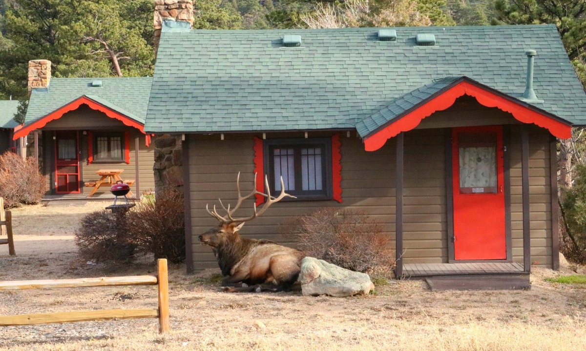 Estes Park Cabin | Tiny Town Cabins