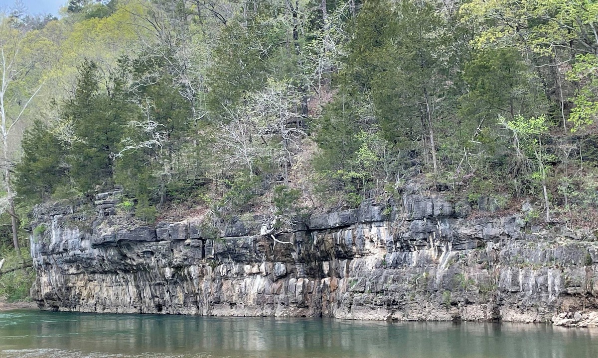 Teresita House | Visit Missouri! Pet-Friendly Cabins, Near Jacks Fork River and Rustiques Antique