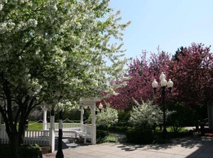 Hampton Inn Burlington Colchester | Burlington