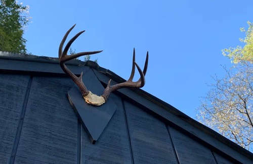 Stockbridge Cabin | 1920s "Golden Age" Cabin w/Breathtaking Views!