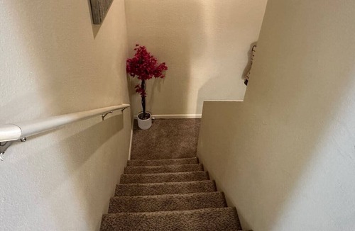 Williston House | 713 Section 2 luxury townhouse