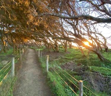 Anglesea House | Anglesea Rivergums
