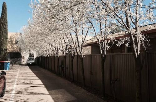 Shepparton South Apartment | Apartment No 9 · Central Shepparton Apartment long stays