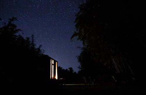 Bauple House | Bamboo Grove by Tiny Away