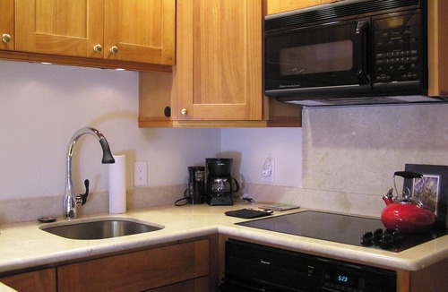 Columbia Apartment | Beautiful Efficiency: full size kitchen, pet & 420 friendly, walk to everything