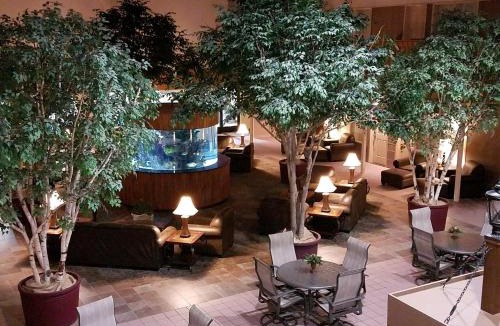 Thief River Falls Hotel | C'Mon Inn