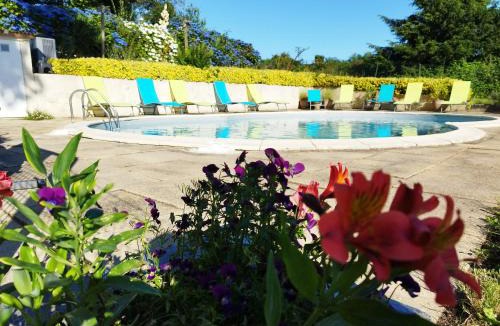 Langoelan House | Chestnut