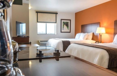 Aberdeen Hotel | Delight in Aberdeen’s Best – Pet-Friendly Room & Kitchen