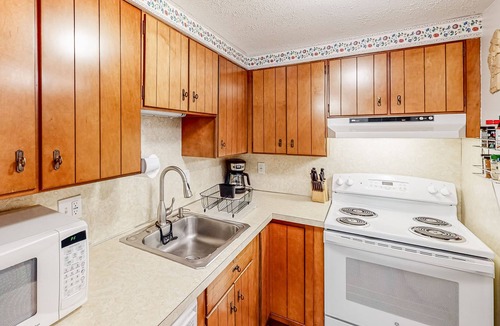 Stratton Mountain Condo | Dog-friendly cozy mountain condo with washer/dryer - minutes from slopes