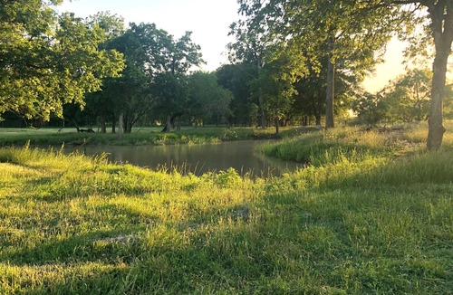 Waco RV Rental | Eclipse Camping on Peaceful Mini Farm F1