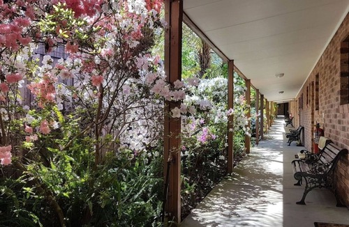 Eildon Hotel | Eildon Parkview Motor Inn - Room 4.