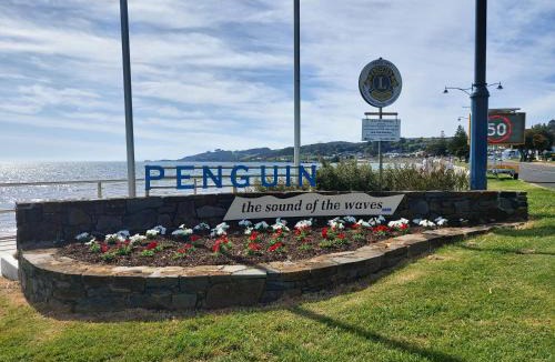 Penguin Apartment | Empty Nest