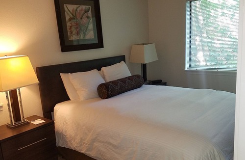 Overlake Apartment | Executive Suite 2 bd 1 bth - 1st floor