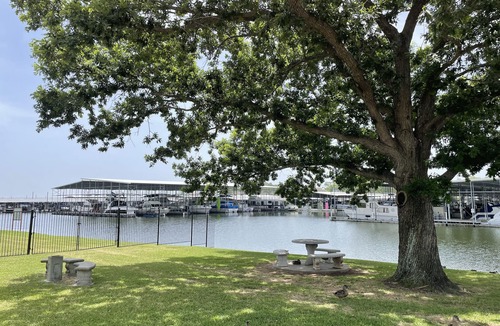 Walden on Lake Conroe House | Extra Large Luxury Lakeside Swim Spa Dream Getaway