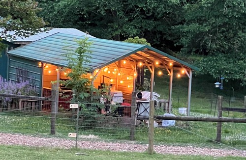 Duvall House | Glamping With Alpacas in an Eco-Friendly Dome Outside of Seattle