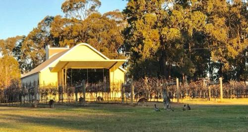 Pokolbin Villa | Ironbark Hill Villa 6 Cabernet Franc