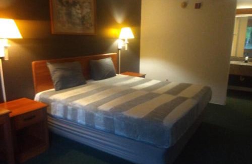 Livingston Apartment | King Bed & 2 Double Beds Hotel Studio 236 & 237