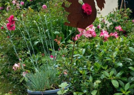 Sartilly-Baie-Bocage Bed & Breakfast | La châtre