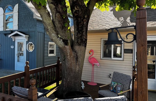 Ashtabula Cottage | Lake front updated cabin-close to everything!