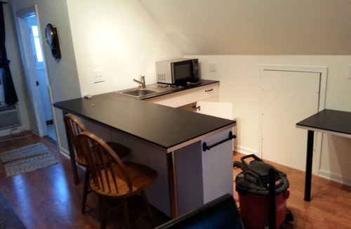 Des Plaines House | Loft Apt is above a detached Garage. Full bathroom, kitchenette, fridge, A/C