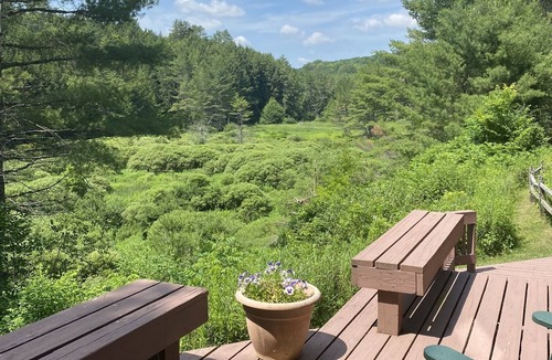 Hartland Cabin | Log Cabin Retreat on 40 Acres