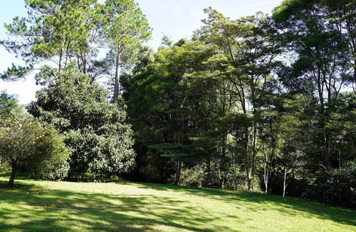 Maleny House | McCarthy Grove.