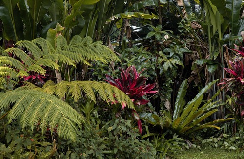 Mullumbimby House | Mullum Muse, a magical place that connects you back to nature.