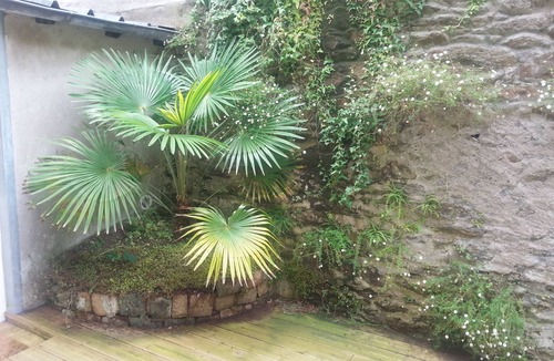 Downtown Apartment | Nice studio with terrace, downtown Brest