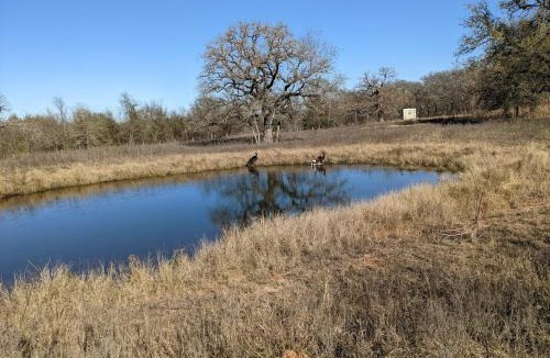 Cameron House | Old Oak Ranch