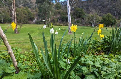 Dargo House | Parsons Flat River Barn