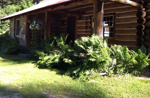 Clarendon Cabin | Peaceful Retreat surrounded by things to explore