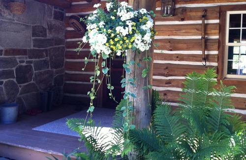 Clarendon Cabin | Peaceful Retreat surrounded by things to explore