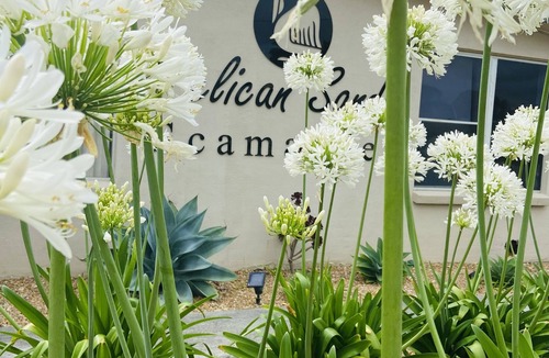 Scamander Apartment | Pelican Sands Scamander