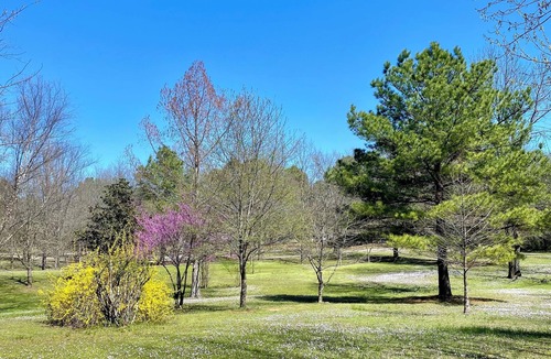 Plainview Cabin | Pet friendly cabin in quiet Plainview with WiFi, AC