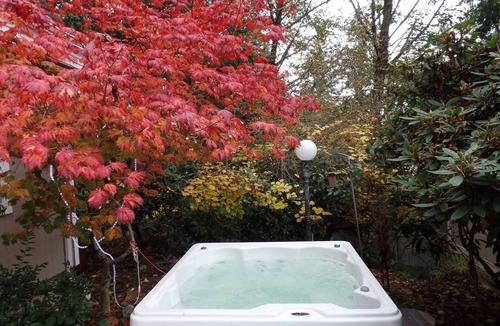 Bellingham Apartment | Private Studio Guest Home Near Whatcom Lake With Hot Tub & Firepit