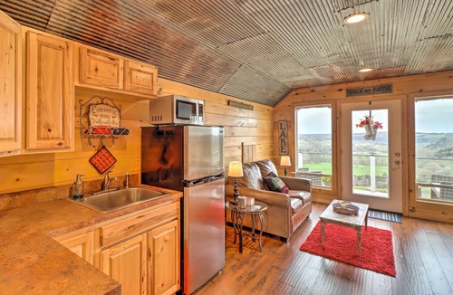 Norfork Apartment | Quaint Norfork Studio w/Million Dollar View!