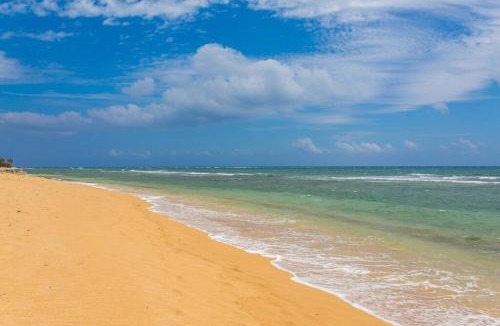 Wailua Apartment | Romantic Garden Escape - Steps to Beach