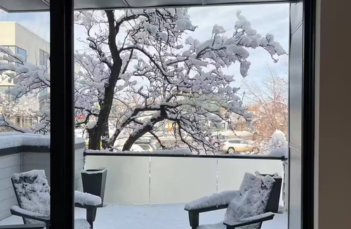 Whittier House | "Rooftop Retreat: A Happy Place in Boulder, CO"