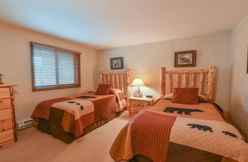 Mount Crested Butte Condo | Rustic 5th-Floor Condo with Private Balcony & Wood Fireplace by RedAwning