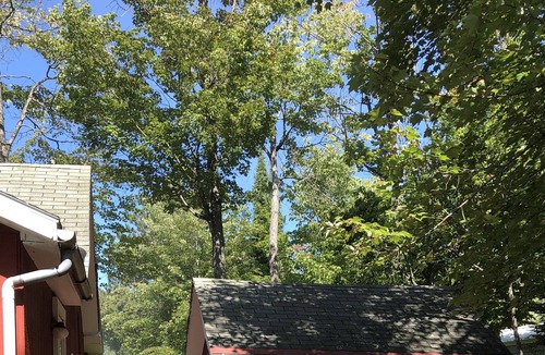 Brimley Cottage | Rustic Retro Cottage w/ Fire Pit 1 block from Sandy Beach. S’mores Included.