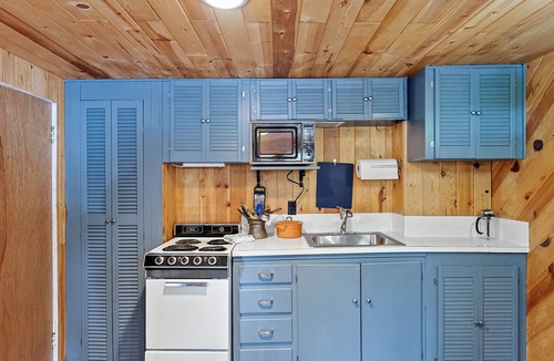 Mason County Cabin | Rustic studio cabin on Haven Lake